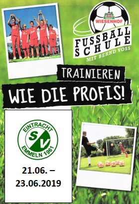 Fußballcamp 2019 in Emmeln